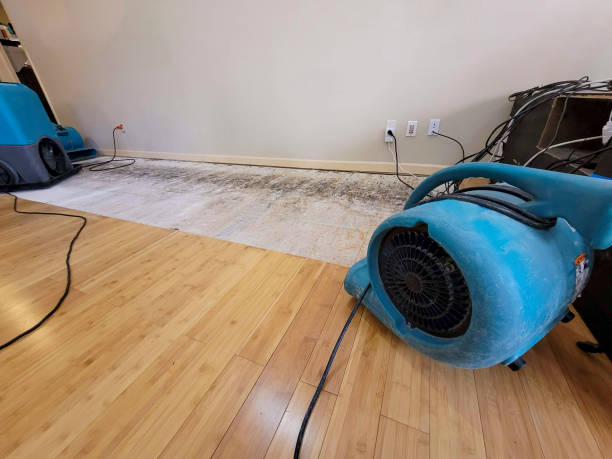 Professional Structural Drying technician working in Hilliard, FL